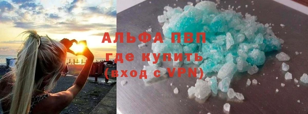 шишки Белокуриха