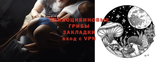 шишки Белокуриха