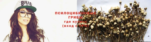 шишки Белокуриха