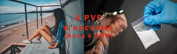 шишки Белокуриха