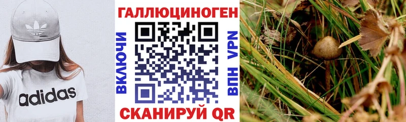 Псилоцибиновые грибы прущие грибы  Наволоки 